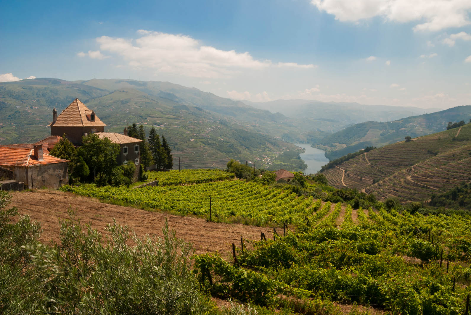 VINEYARDS & WINERY FOR SALE DOURO PORTO WINE-GROWING PORTUGAL | Douro Superior Porto, Cima Corgo, Baixo Corgo
